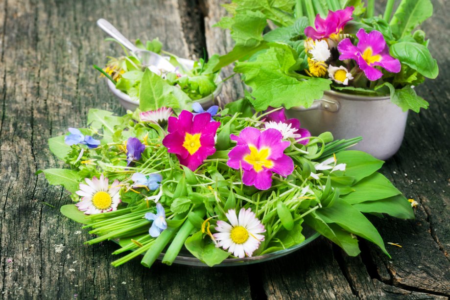 Laukinių augalų ir valgomų gėlių salotos