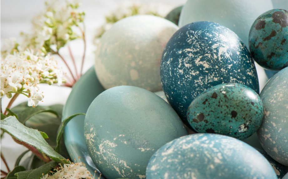 Natūraliai mėlyni kiaušiniai