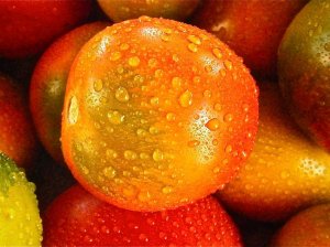 Kaip rekomenduojama plauti vaisius bei daržoves?