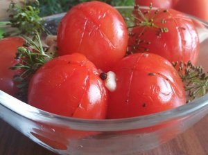 Greitai rauginti pomidorai sausuoju būdu