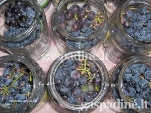 Naminių vynuogių kompotas žiemai