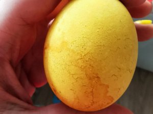Kiaušiniai dažyti ciberžole