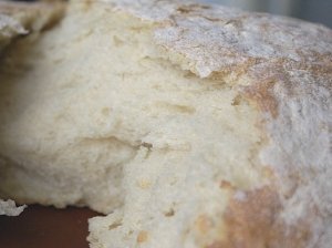 Itališka duona
