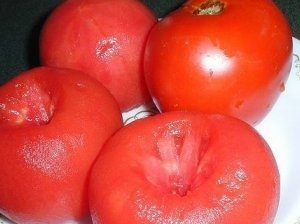 Pomidorai grietinėje