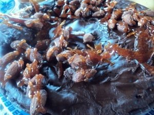 Šokoladinis pyragas su varškės rutuliukais