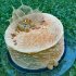 Naminis Napoleono tortas su plikytu kremu ir uogomis