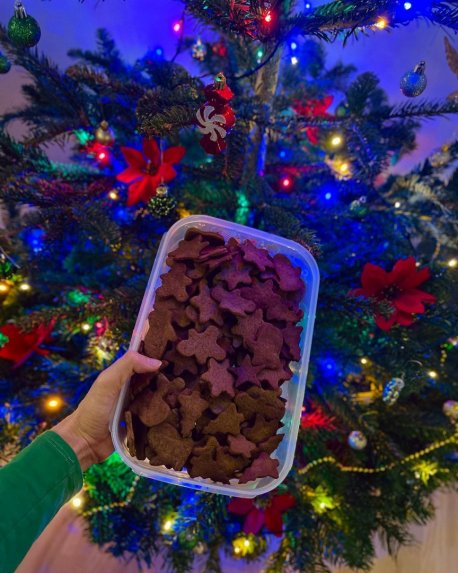 Kakaviniai kalėdiniai sausainiai